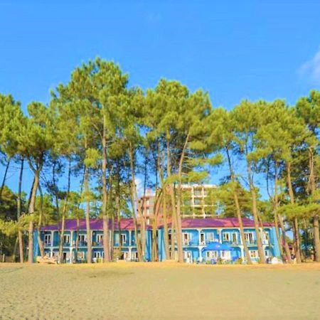Evrika Hotel Shekvetili Esterno foto