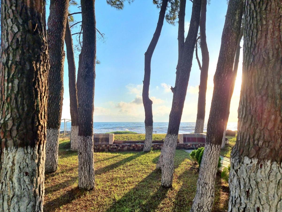 Evrika Hotel Shekvetili Esterno foto